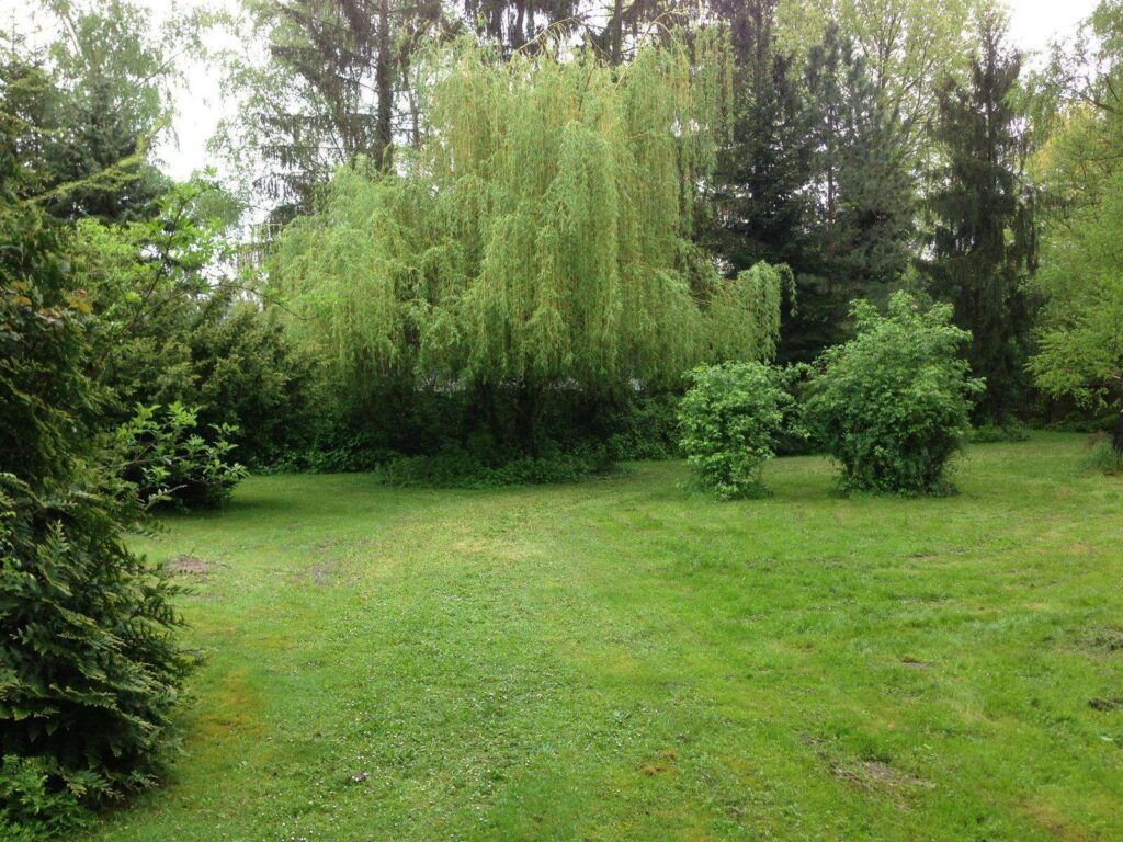 Foto der Immobilie (100834)